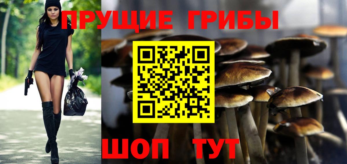 Уфа  Галлюциногенные грибы мицелий  Вход с VPN  Псилоцибиновые грибы Psilocybine cubensis 